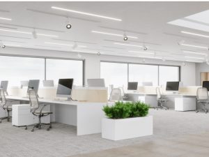 خيارات توريد عيدان البامبو عالية الجودة مع معايير السلامة الدولية وشهادات الاعتماد